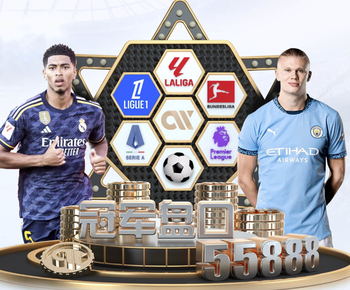 太阳报：桑德兰球迷可将名字刻在球场外石板墙上，价格99镑至500镑不等